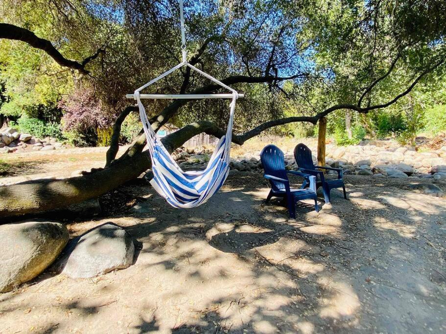 Sequoia Cabin By The River 쓰리리버스 외부 사진